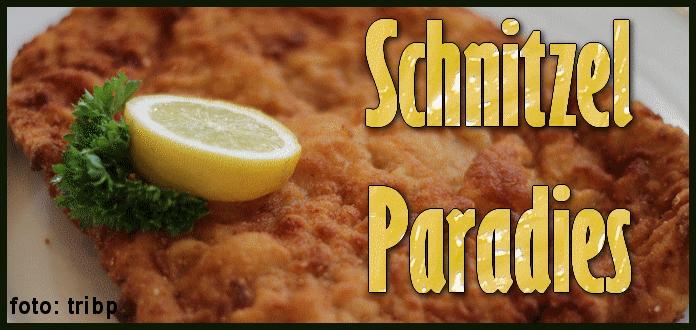 Beim Bringdienst Schnitzel Paradies online bestellen und Zeit sparen Beim Bringdienst Schnitzel Paradies online bestellen und Zeit sparen